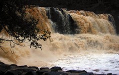 Gooseberry Falls was teeming on the fourth day of rain