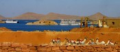 Composition with cruise ships, blue lake, red and brown desert, and camels