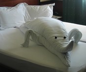 This creature waits on our bed to wish us a last good night on our cruise.