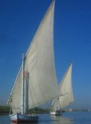 Feluccas on the Nile, from our felucca