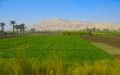 The green Nile flood plain, with the dead mountains behind, and a town between