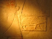 In the Mastaba Tomb of Mereruka, a man carries a porcupine in a basket