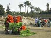 Vegetables - near Giza and Saqqara
