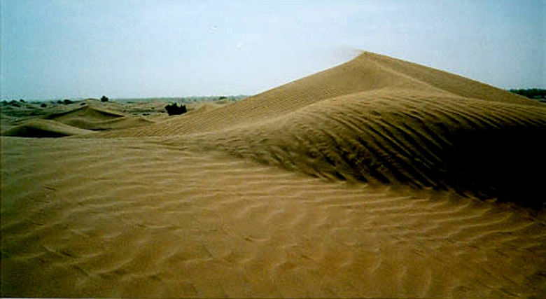 Dunes Near M'Hamid