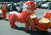 Two-man dragon in red and spangles