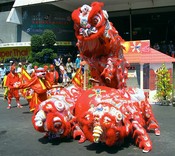 One Omo dragon climbs on the big Omo ball