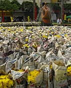 Flowers are delivered to decorate the street for Tet