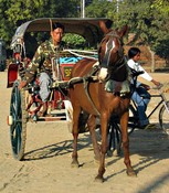 Our carriage (no. 71 on the side), its driver Suuu Win, and his horse, ShuShu