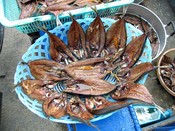 Fish drying in a plastic bowl