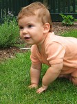 Crawling on the grass